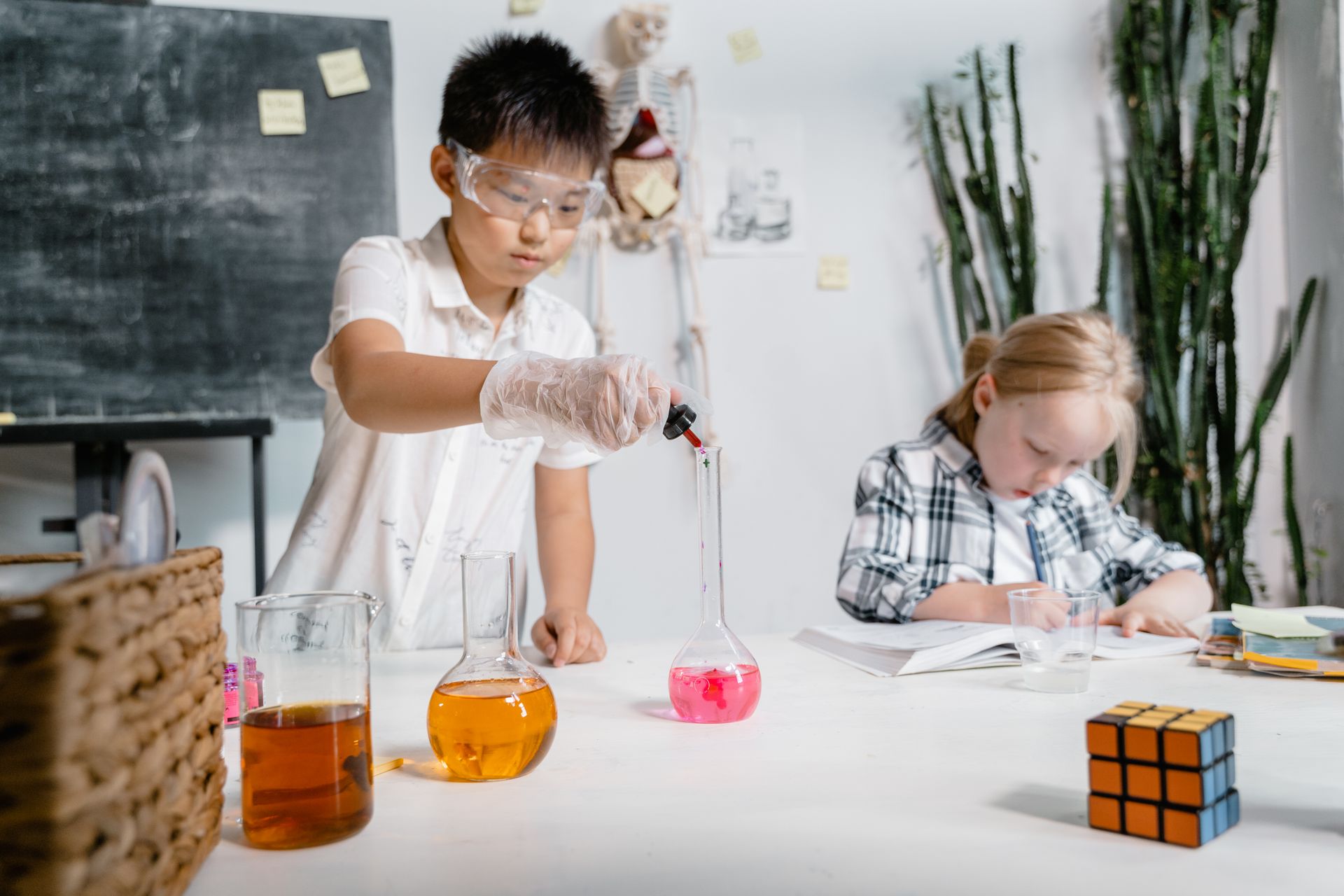 Students in the science laboratory