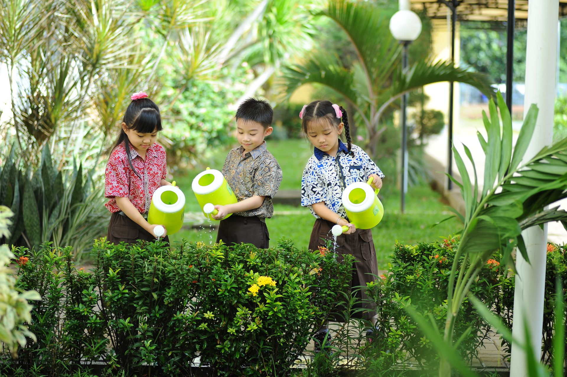 Green Day celebrations